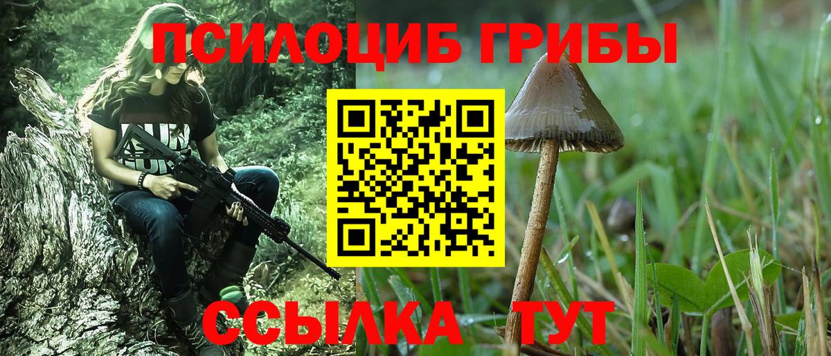Дмитров  Галлюциногенные грибы мицелий  Вход с VPN 