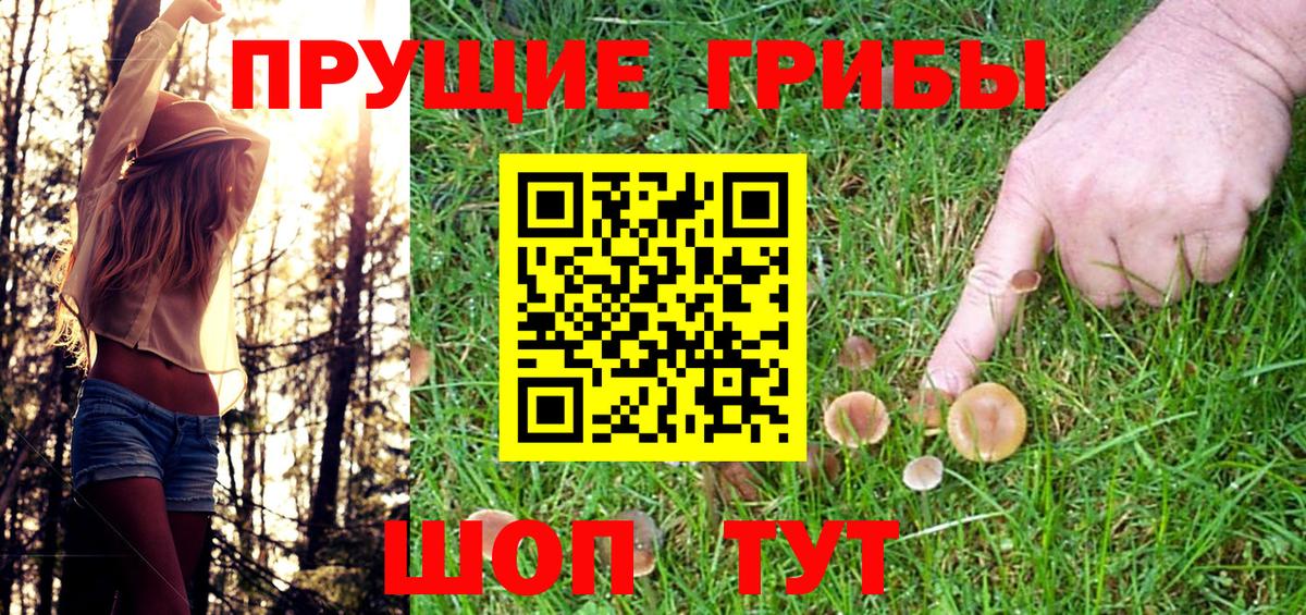 Галлюциногенные грибы мицелий Дмитров