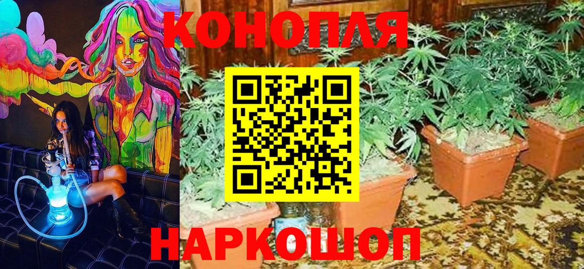 Дмитров  Бошки марихуана конопля  Конопля сатива  Вход с VPN  МАРИХУАНА White Widow 
